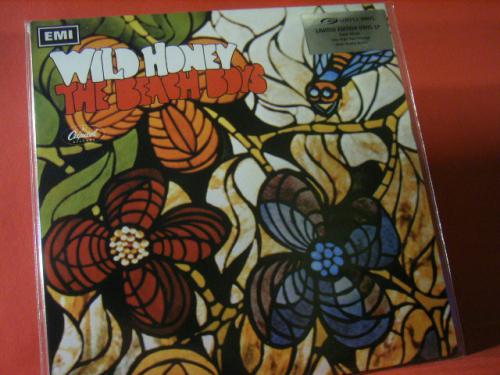 WILD HONEY 