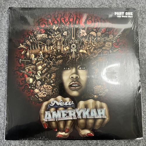 NEW AMERYKAH - PART ONE (4th World War) 